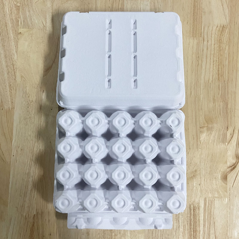 20  eggs - white egg tray
